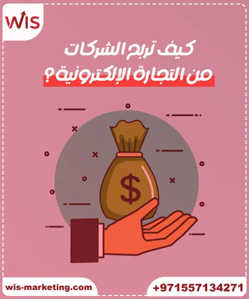 هل التجارة الالكترونية مربحة كيف تحقق اعلي ارباح من المتاجر الإلكترونية مع شركة wis؟ - هل التجارة الالكترونية مربحة
