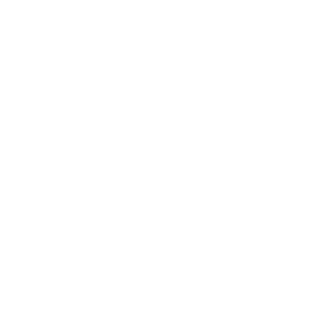 Branding Portfolio white